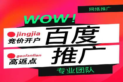 百度推广平台操作指南：案例解读，快速掌握要领